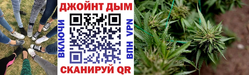 где купить наркотик  Покров  Шишки марихуана сатива 